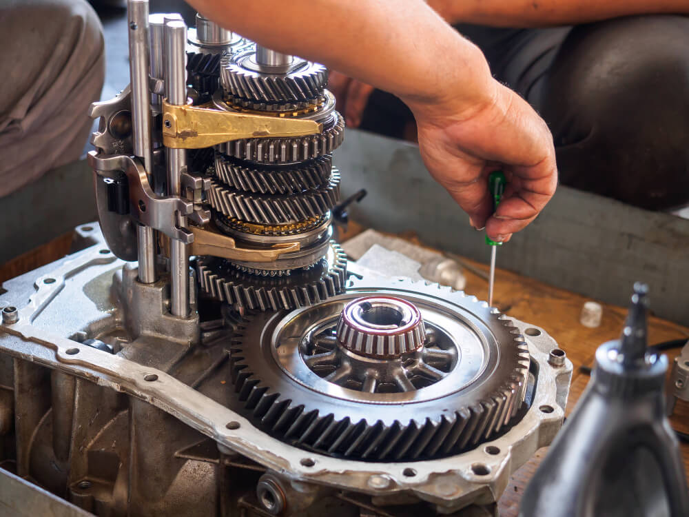 Transmission Services in Edison